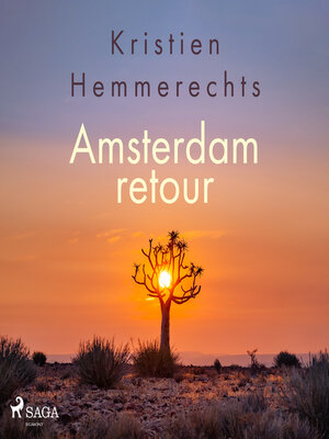 cover image of Amsterdam retour
